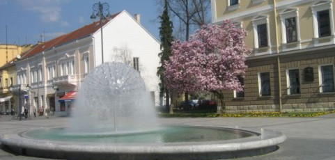 Fountain in Slavonski Brod (Croatia)